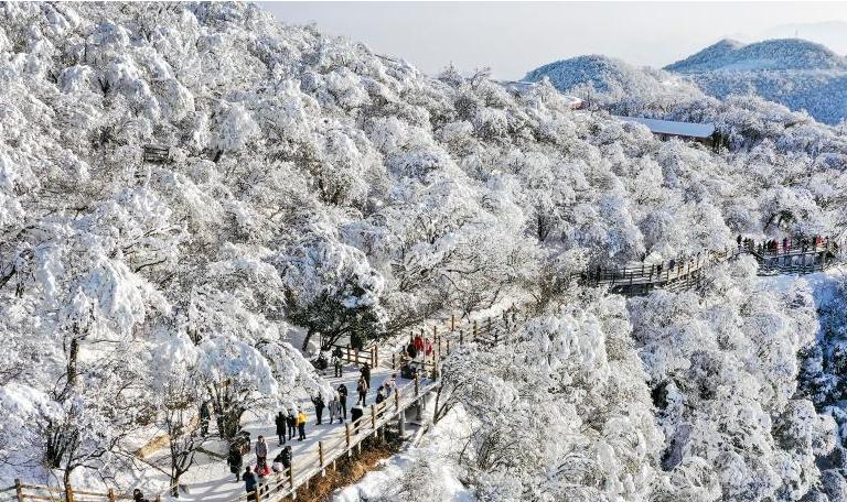 一场雪惊艳了整个冬天,一场春雪惊艳了世界