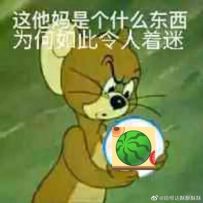 合成大西瓜爆火,合成大西瓜测评