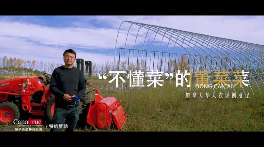 李子柒视频东北小伙,外国人评李子柒的视频