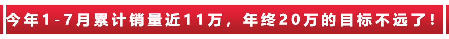 前七个月汽车销量,今年国内雷克萨斯es累计销量