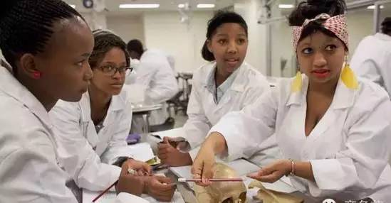 戴15块钱的手表,戴15美元手表