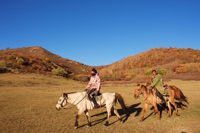 坝上乌兰布统的秋天完整版,乌兰布统坝上草原