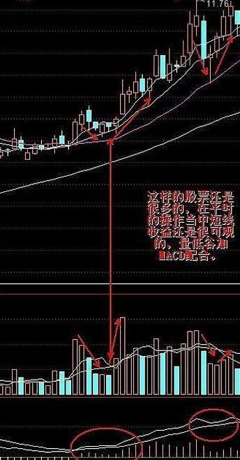 指标之王macd底背离,期货指标之王macd