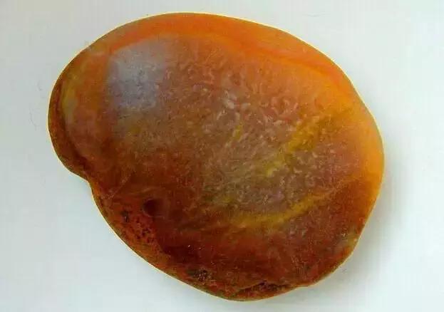 捡到这样的石头千万别扔桌子,遇到这样的石头赶紧捡