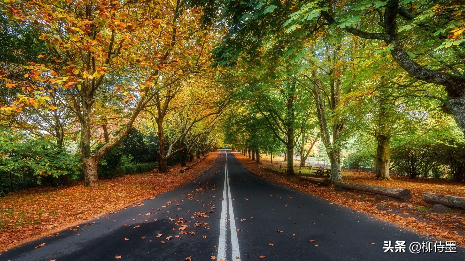 旅拍人像技巧口诀视频,摄影新手入门打卡技巧图片