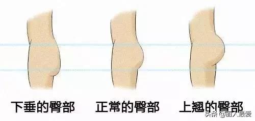 你的体型出卖了你生活态度,你身材和相貌出卖了你的生活层次