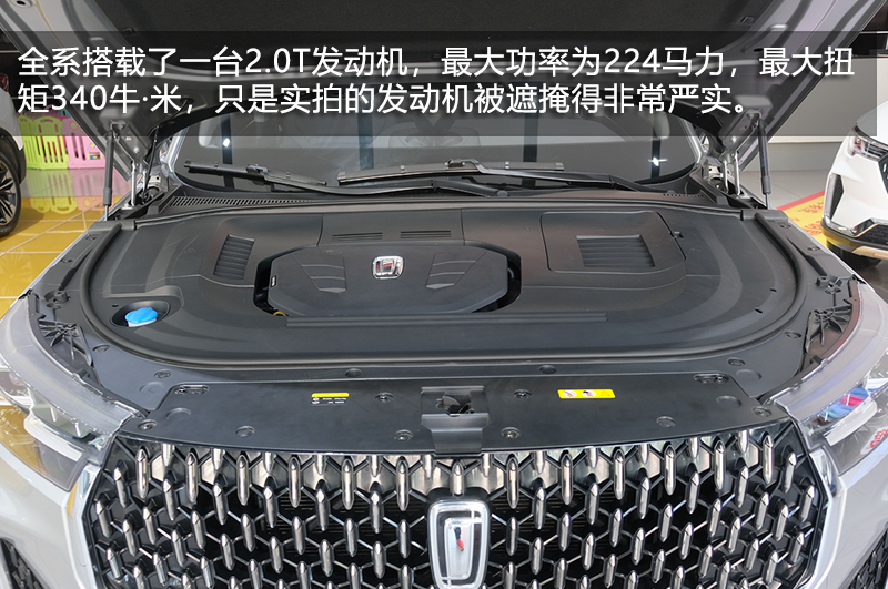 奔腾t99小姐姐,奔腾t99的小姐姐