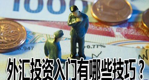 炒外汇新手必备十大技巧,炒外汇入门的基础知识
