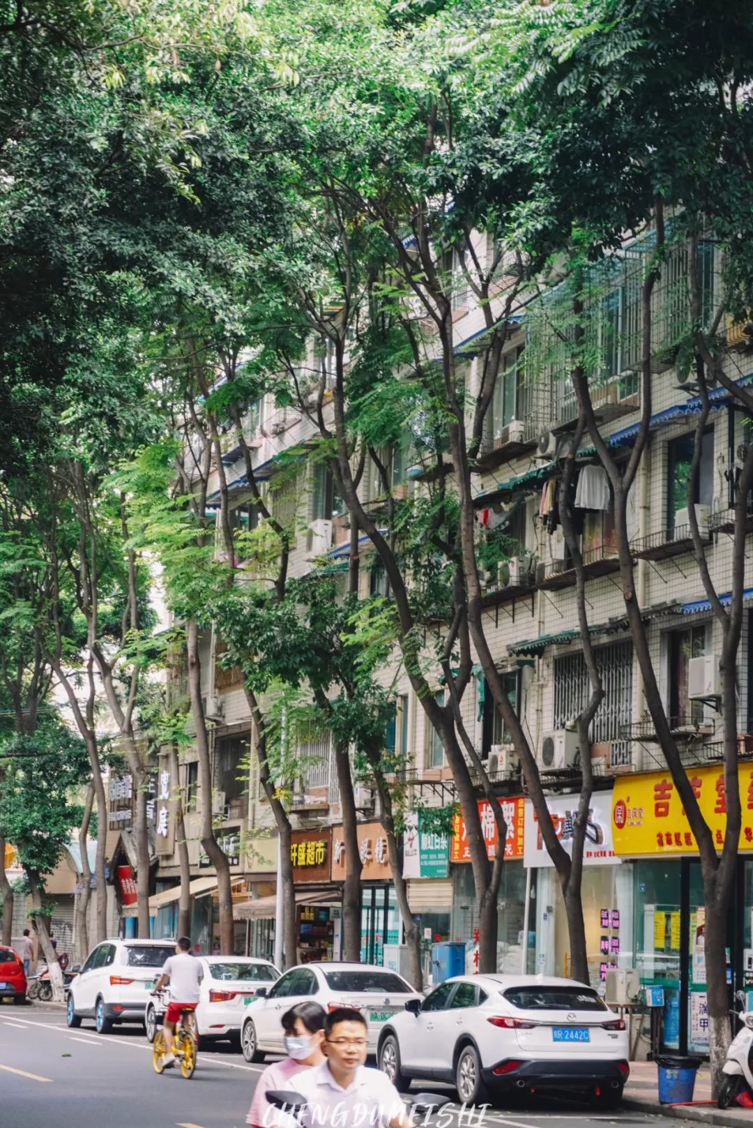 住在李家沱,成都李家沱和重庆李家沱