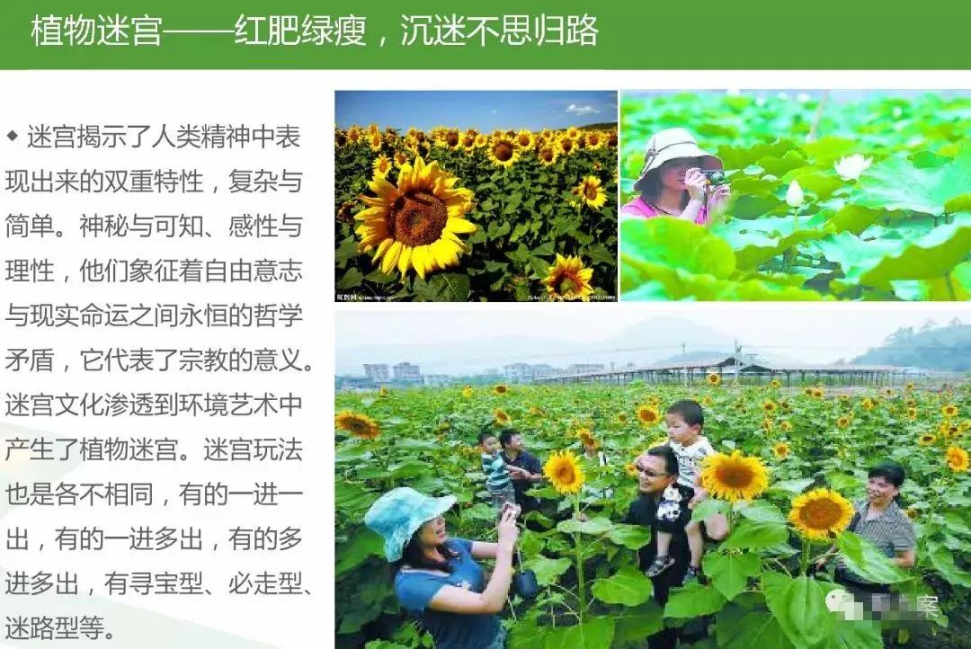 田园综合体类项目策划,田园综合体项目推介书ppt