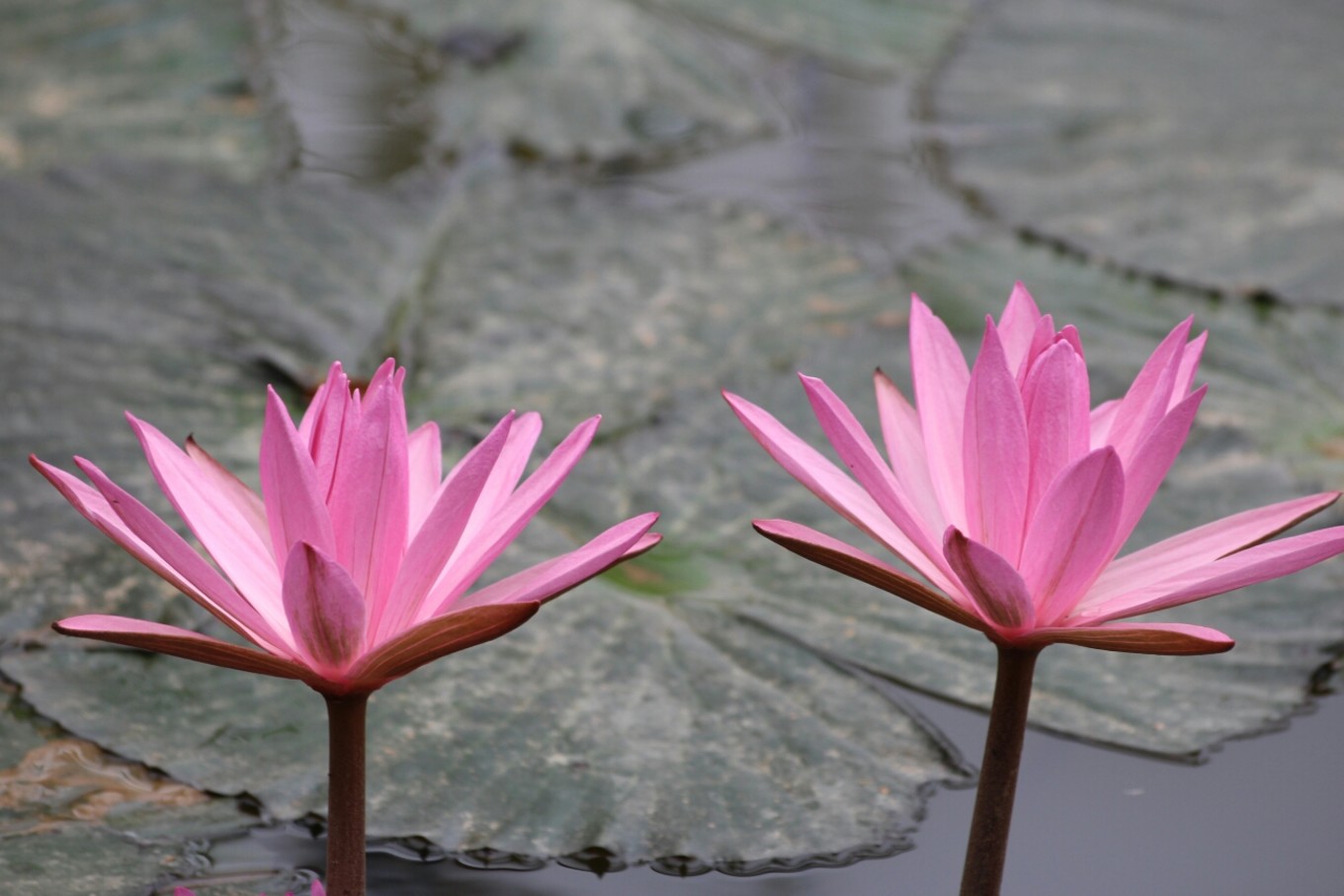 20161218桂林洋大学城返校记（那一年的海口青年户外）