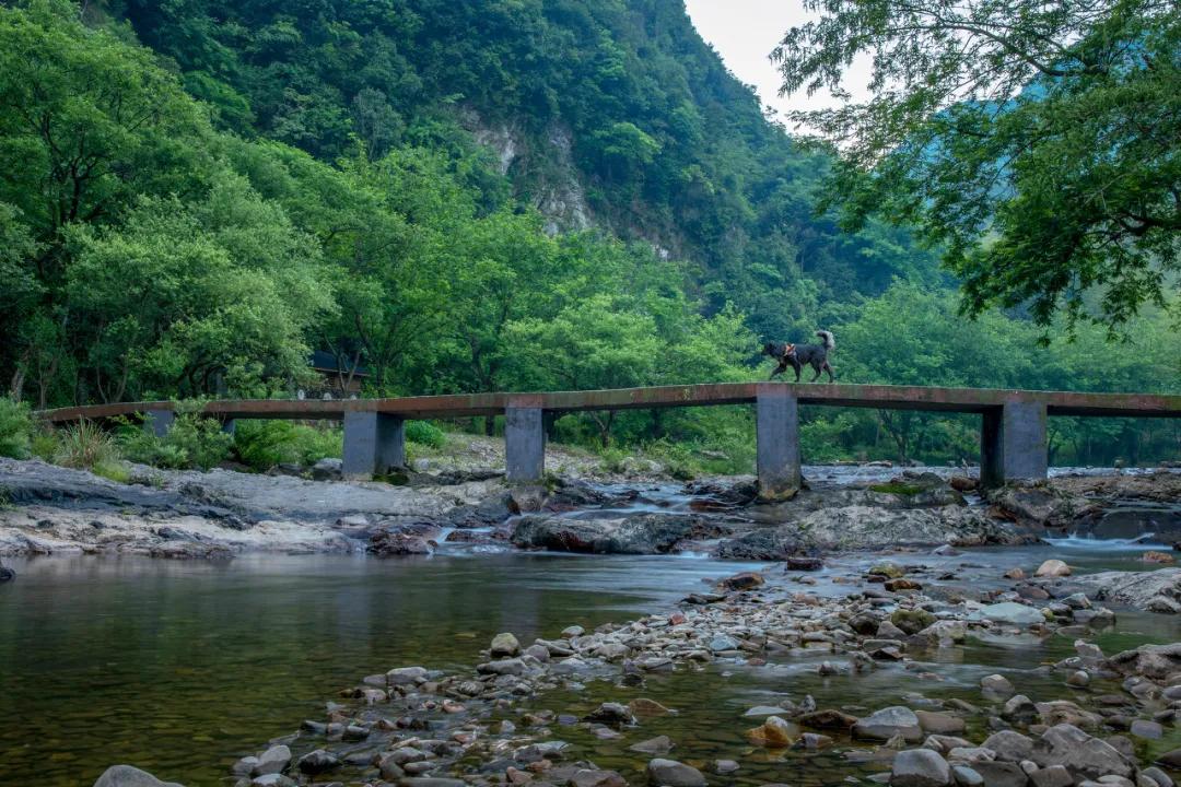 秋天的杭州自驾游,杭州秋冬自驾