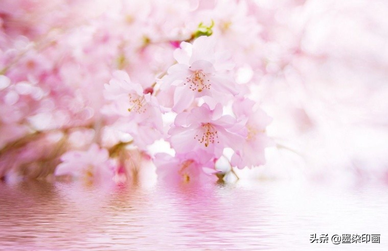 春雨如金，如何拍出春雨的“诗情画意”？5个思路拍好春雨