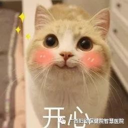 健康学堂的课程怎么样,健康学堂学什么