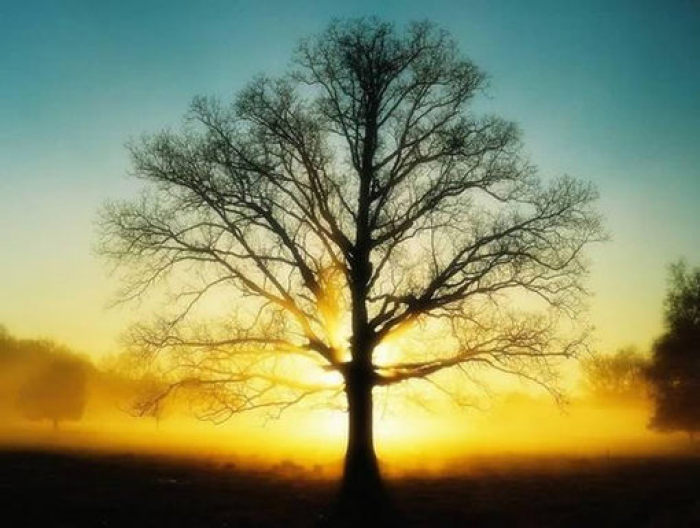 南洋迪克超级工厂行第七季,南洋迪克第九季工厂行火热进行中