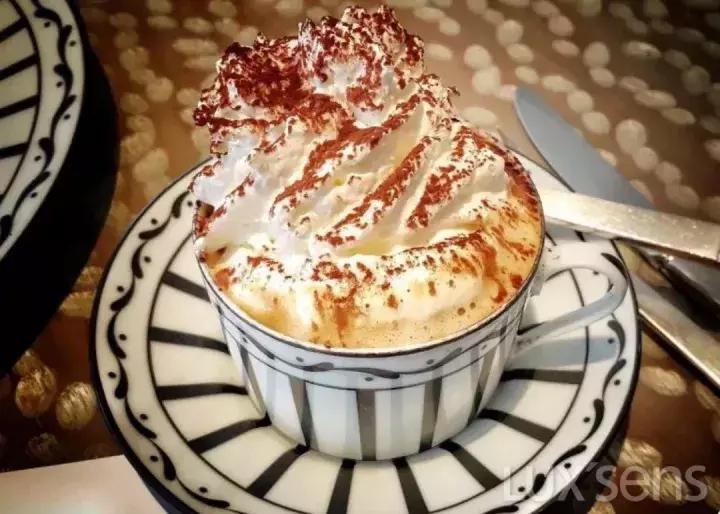 chanel新品饺子包,chanel推荐大包