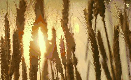 “百毒之月”，一年中最危险的日子