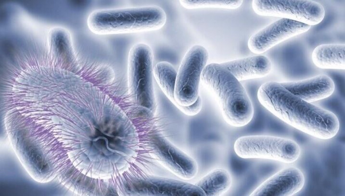 孢子吸入肺部会怎么样,吸入孢子会怎么样