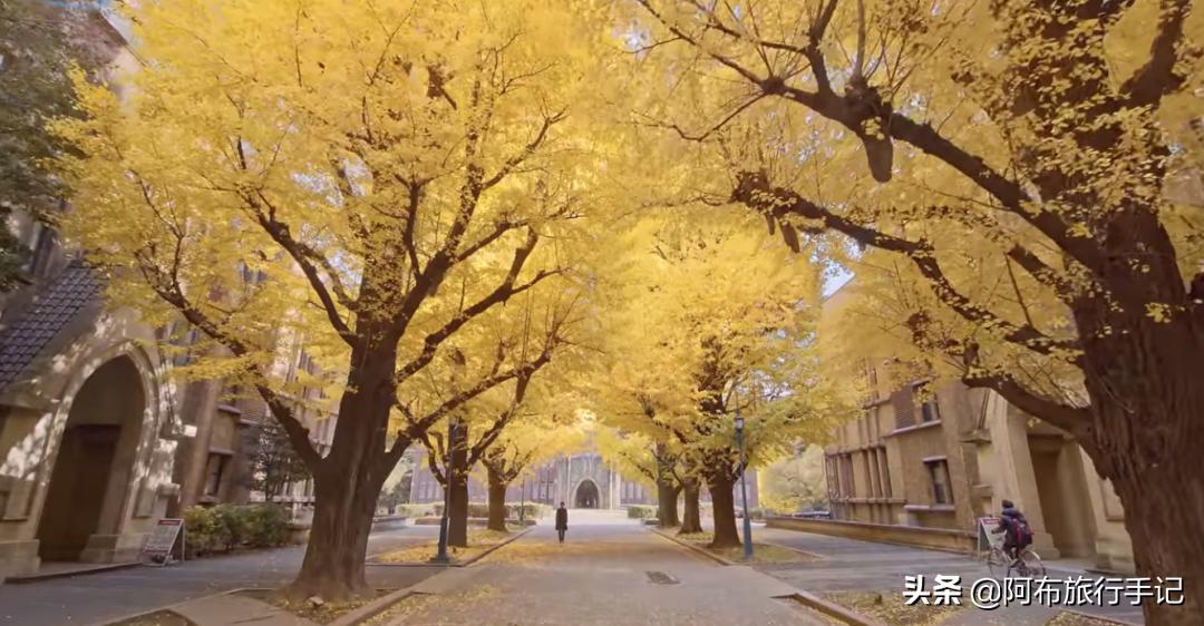 沿新干线北上，还没到函馆，就有条值回票价的JRPASS路线