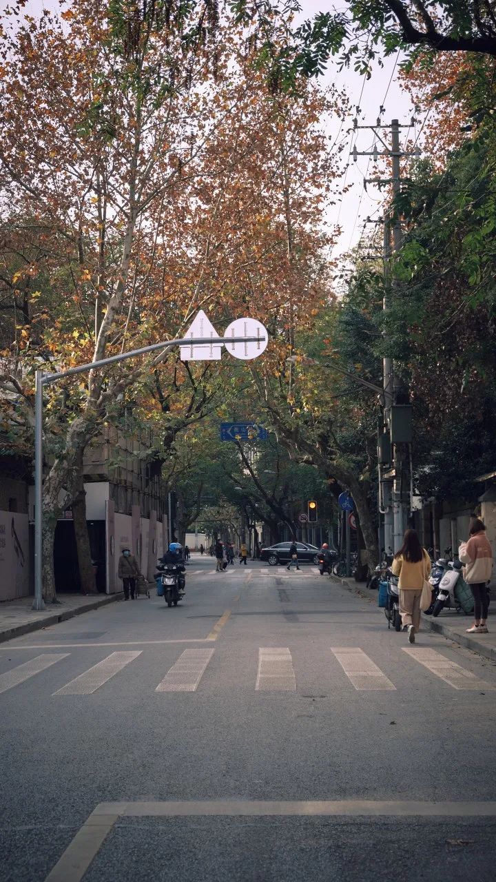 上海最有腔调的小马路,上海必逛的十条马路
