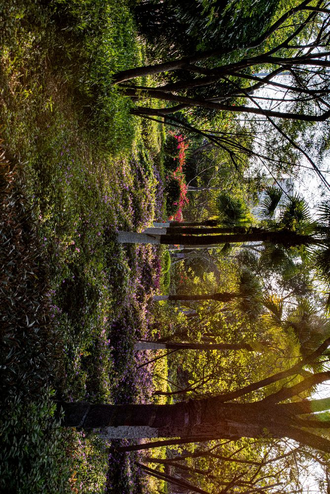 尼康ais300mmf4定焦镜头,尼康ais35mmf1.4定焦镜头