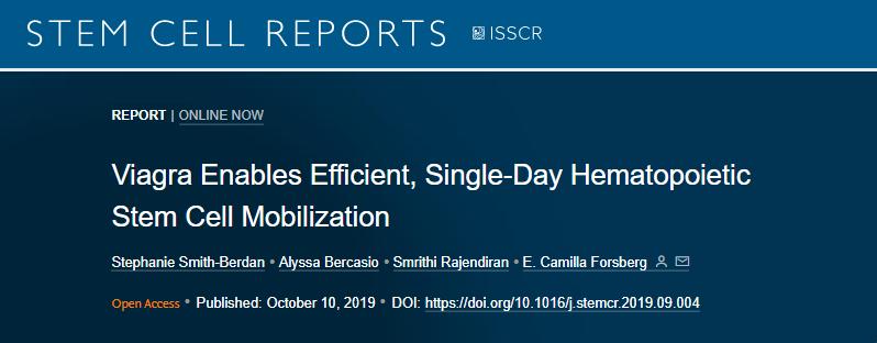 伟哥是什么原理真的有用吗,什么伟哥最有效没有副作用