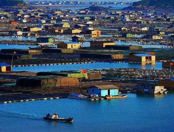 万亩草原航拍,万亩草原航拍视频