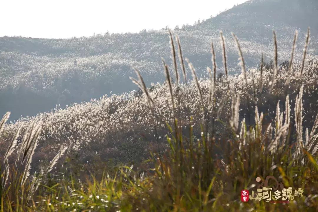 美炸广岛短片,美炸的瞬间视频