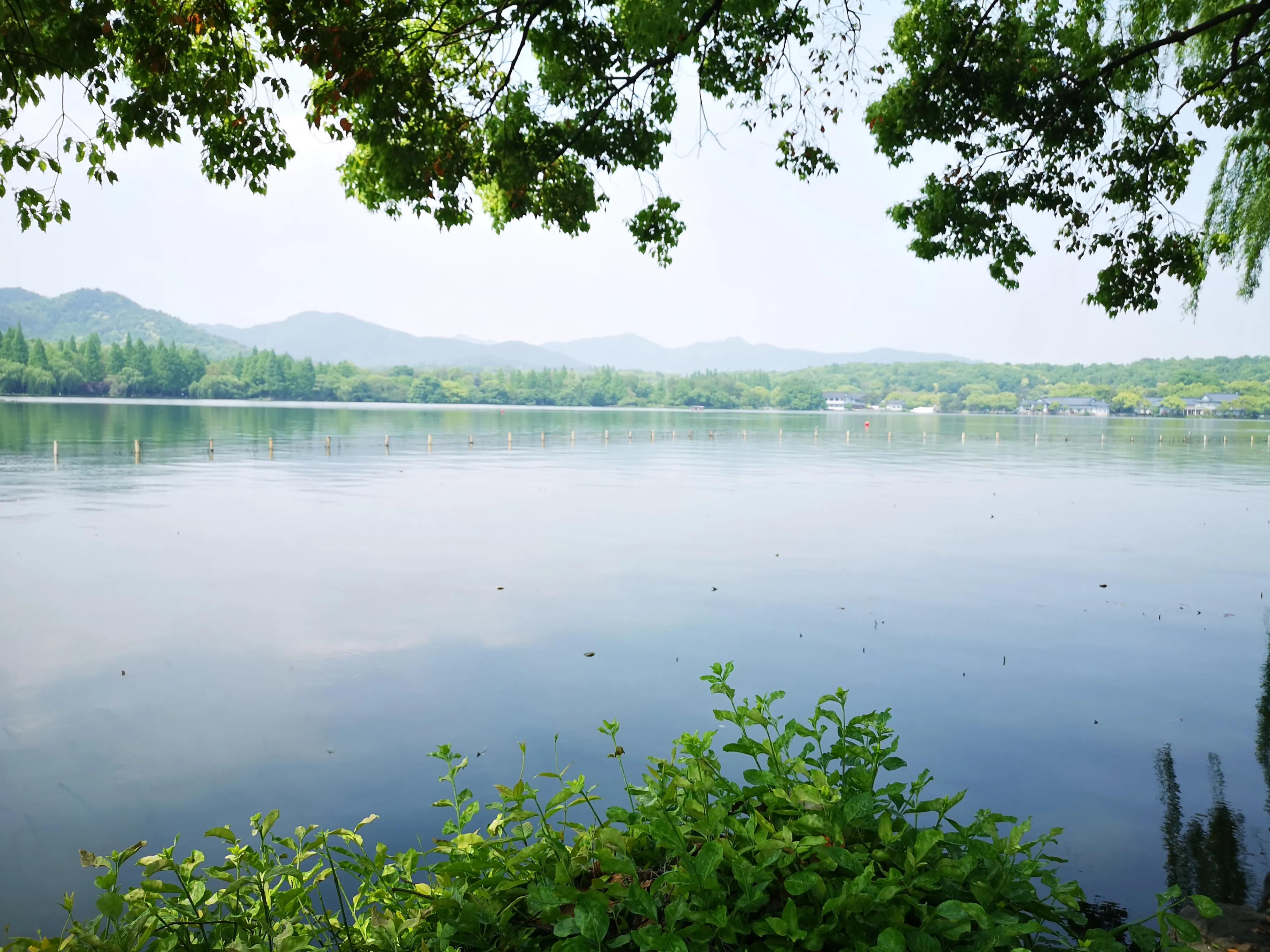 杭州西湖美景抖音最火版完整版,杭州西湖美景全景