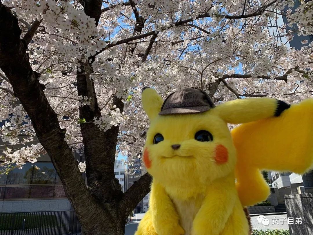 出身900亿世家豪门！揭秘蠢萌“皮卡丘”的顶级贵公子身份真相