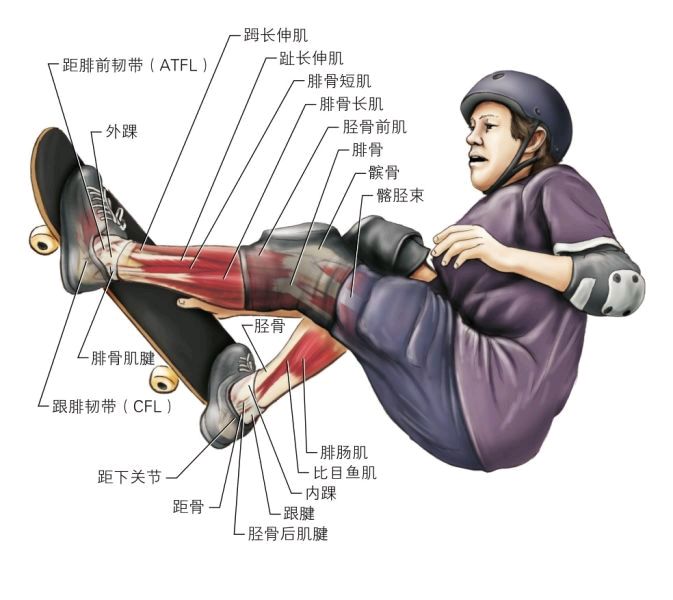 为什么崴脚另一个脚疼,脚踝崴脚后怎么拉伸