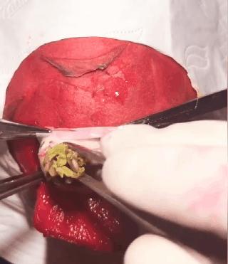 在家憋着干啥挣钱,在家憋着可以玩什么游戏