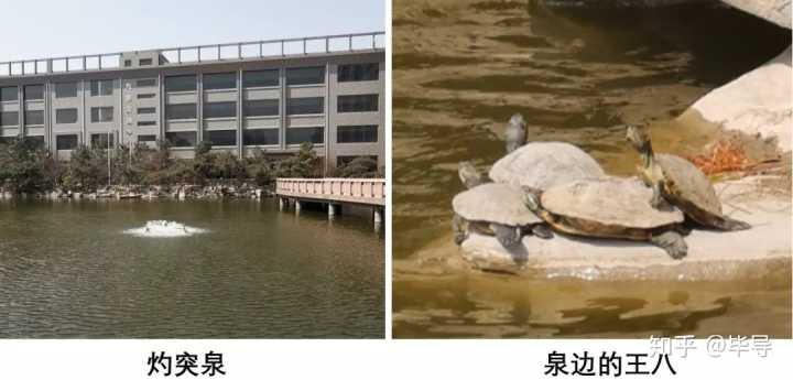 上蓝翔技校有哪些条件,我在蓝翔技校的亲身经历