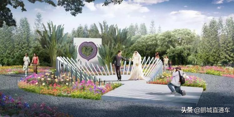 年宵花争奇斗艳价格亲民惹人爱,春节临近年宵花热销新品种受青睐