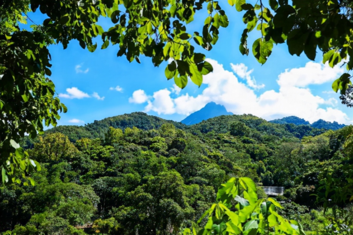 海南冬天最宜居城市,海南的空气质量最好的地方