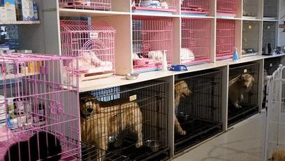 郑州万邦批发市场干货,最新最全郑州批发市场一览表