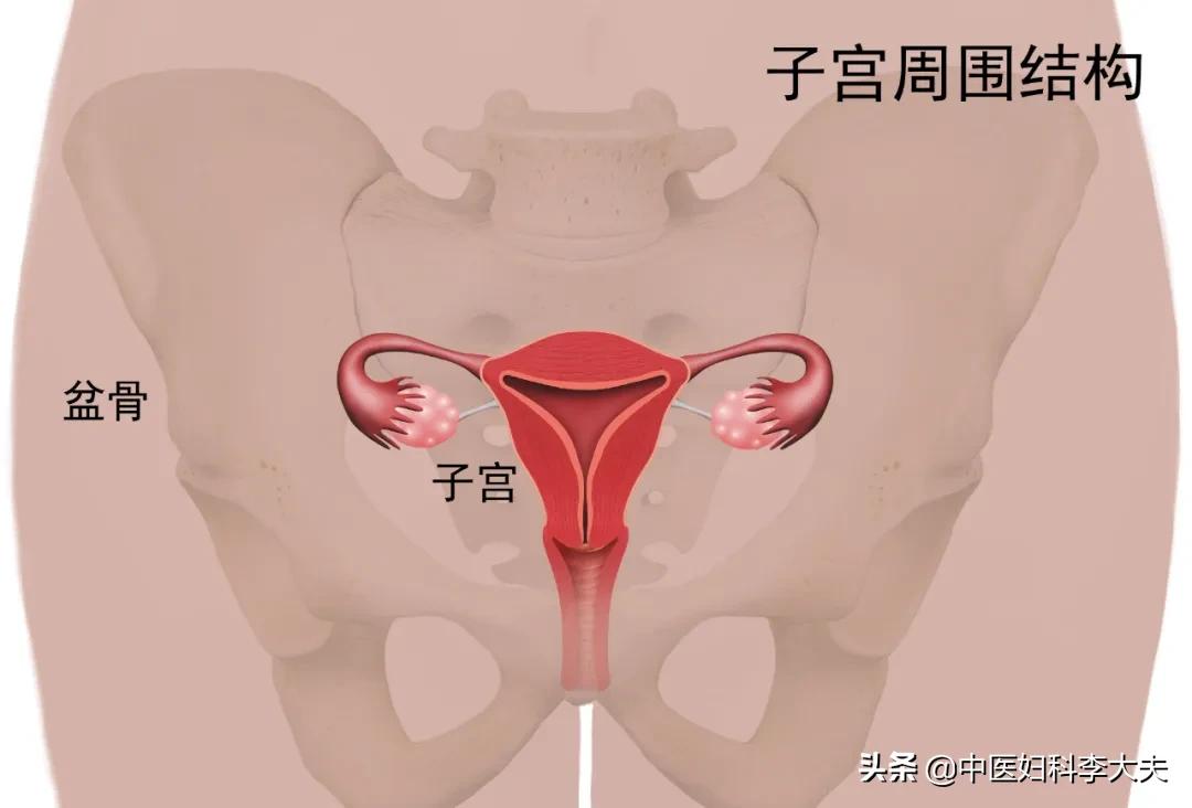 子宫腺肌症子宫增大怎么办,子宫增大是什么原因引起的