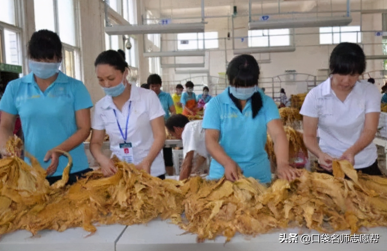 为什么农业类大学普遍不受待见?就业真的有那么差吗?