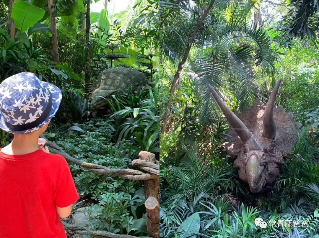 广州长隆攻略两天一夜住哪个酒店,去珠海长隆前一天下午游玩攻略