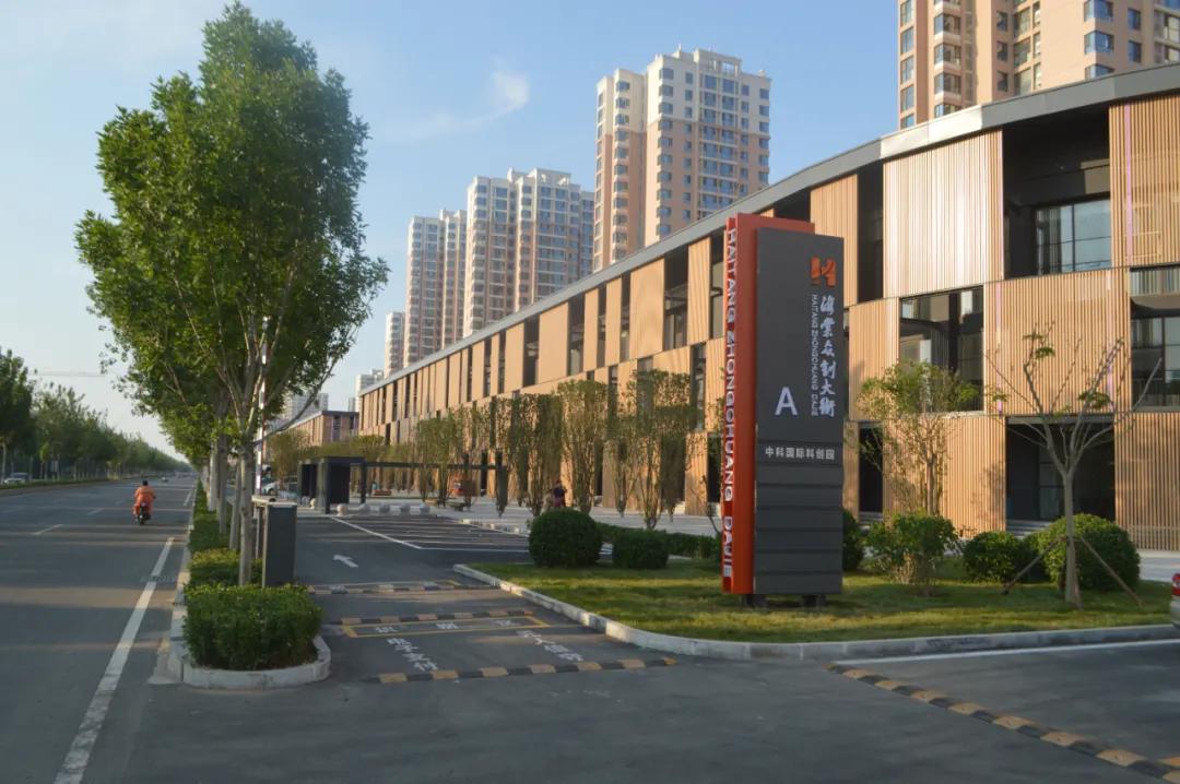 津南区打架,津南区打架视频