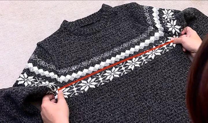 盘点铲屎官养的那些小宠物,铲屎官整宠物