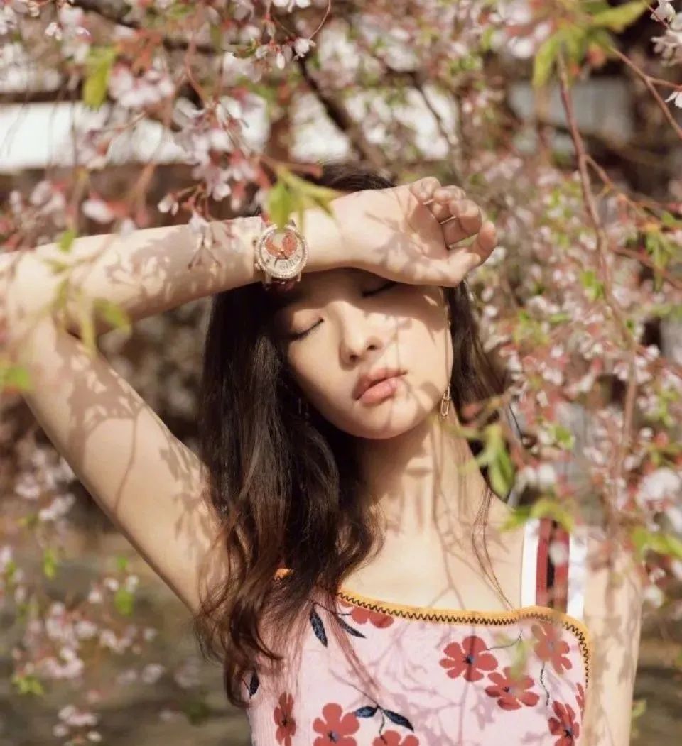 杨颖樱花与精灵妆拼图,刘嘉玲樱花美照