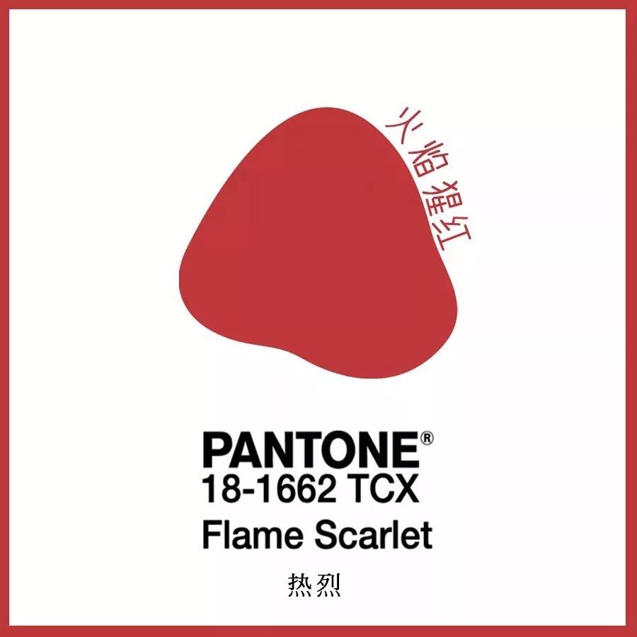 矮个子女生穿什么运动鞋好看,女生百搭运动鞋高级感