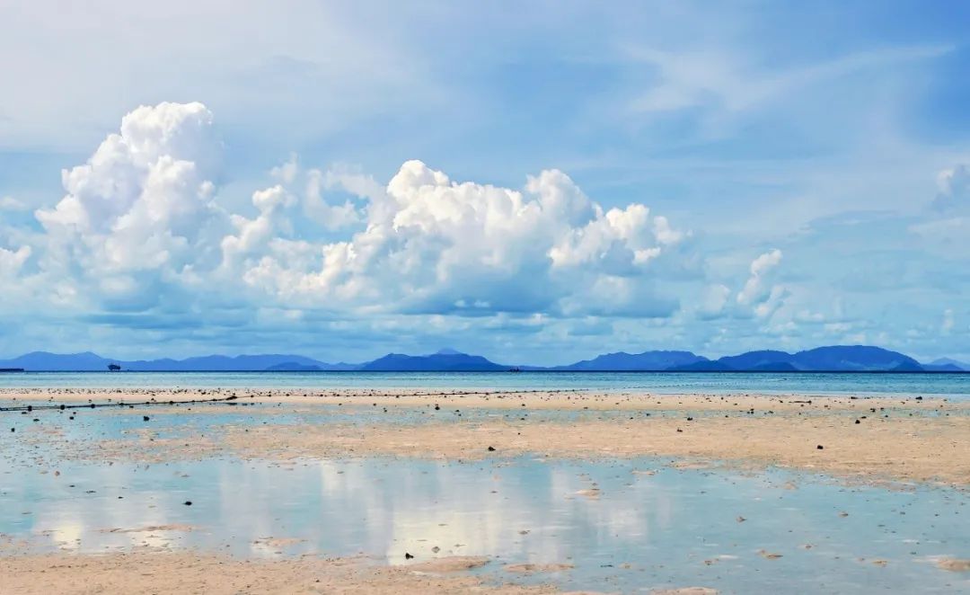 疫情防控中的中医智慧,中医疫情防控思考