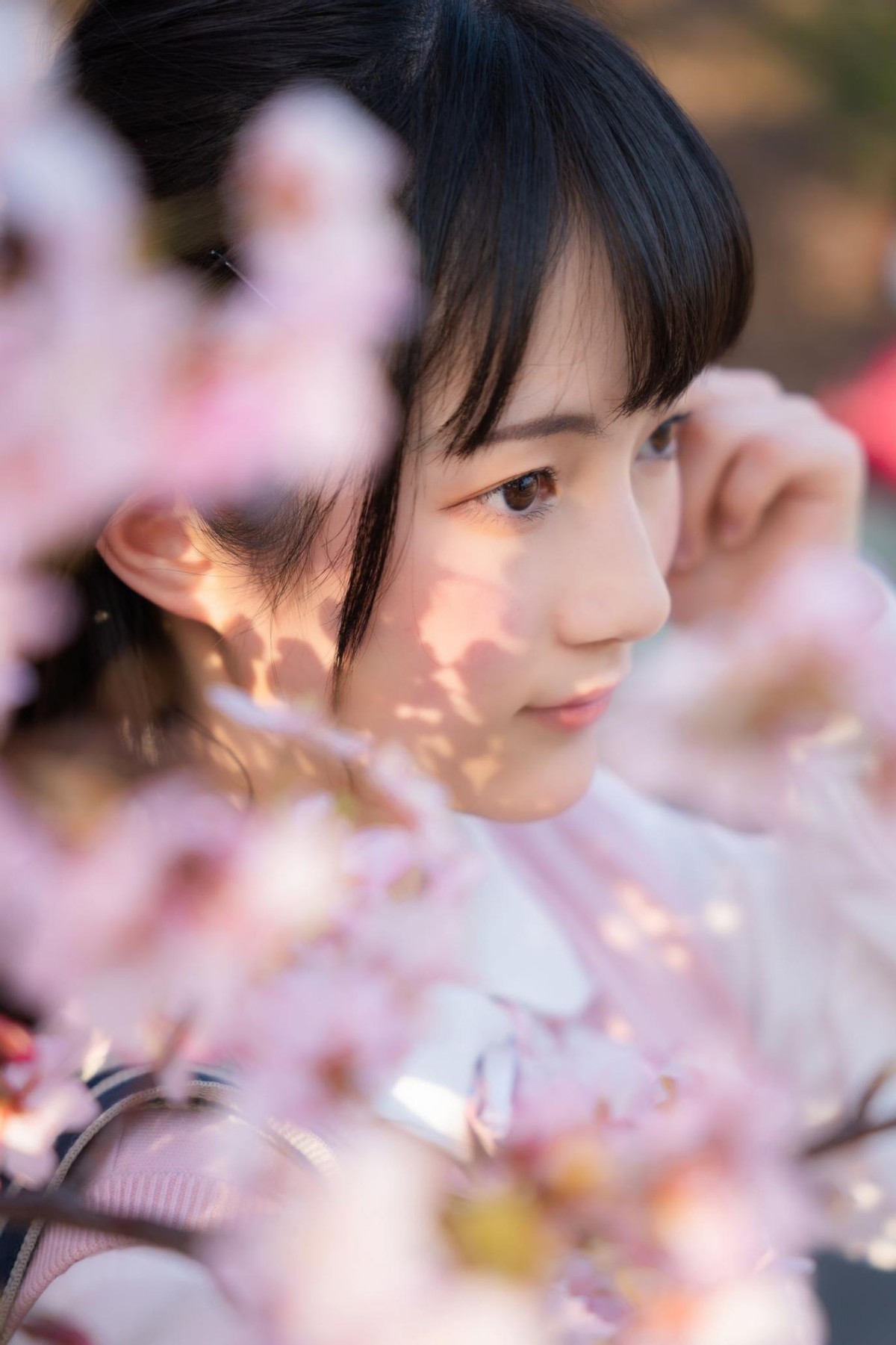 2470最便宜的镜头,24702.8镜头值得买吗