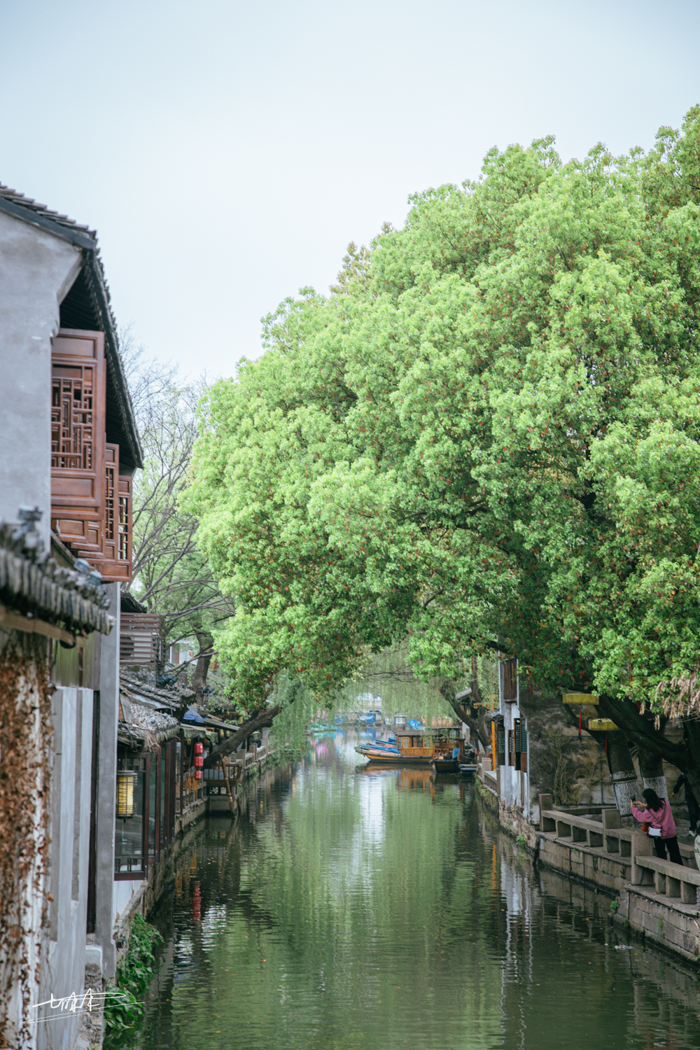 周庄古镇江南水乡美如画,周庄梦里水乡视频