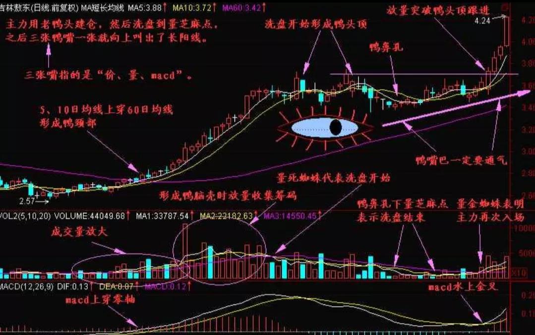 1月股票涨幅排行,最可靠的大牛股形态