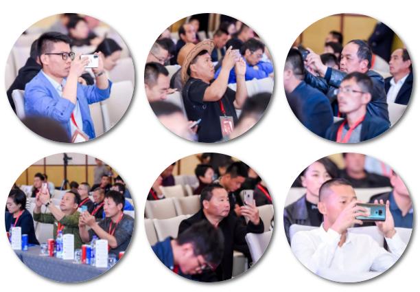 这一次，风口上站的是肉牛