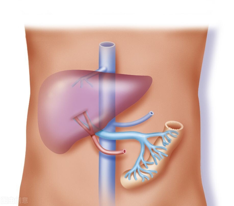 别把耳鸣、脑鸣、血管搏动音混为一谈，中医一次说清楚“耳鸣”