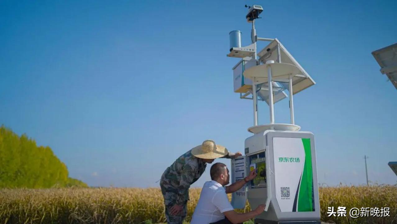 京东打通线上线下助力乡村振兴,京东助力乡村振兴和政府如何合作